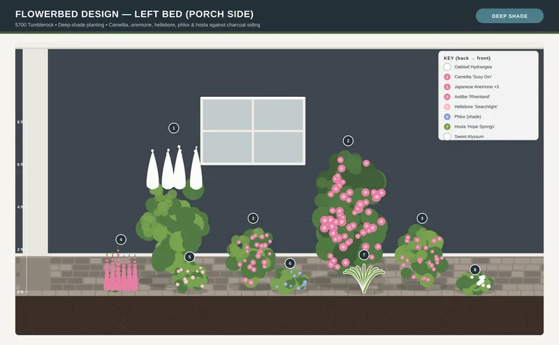 Elevation design board of a porch-side flower bed in deep shade