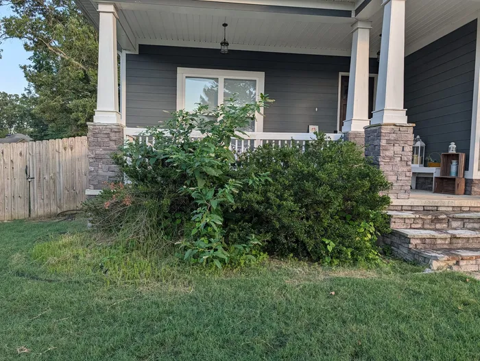 Overgrown shrubs and weeds crowding the porch bed before renovation