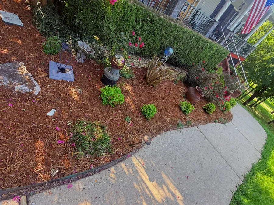 Finished foundation bed with fresh dark mulch, new shrubs and clean edging